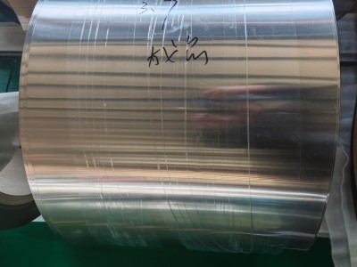 Reducing Acid-Resistant Hastelloy B-2 Strip for Sulfuric and Hydrochloric Acid Handling