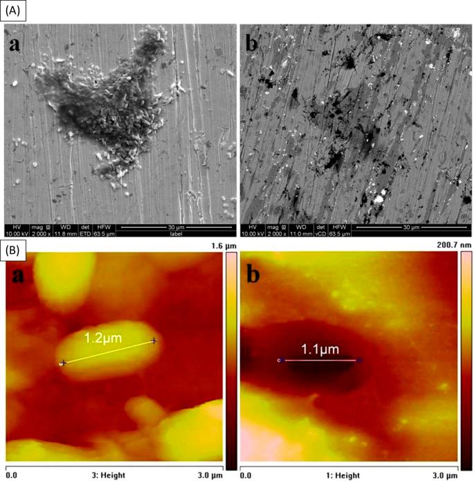 How Surface Roughness (Ra) Affects Performance: Corrosion, Fatigue and Industrial Applications